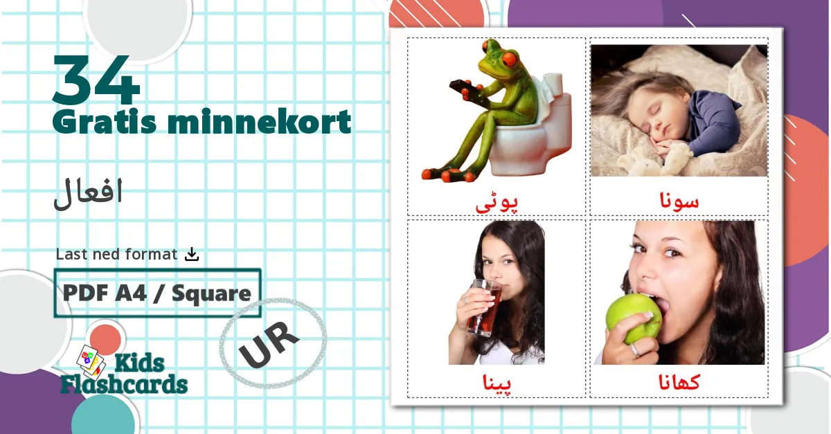 34 Rutinemessige verb bildekort