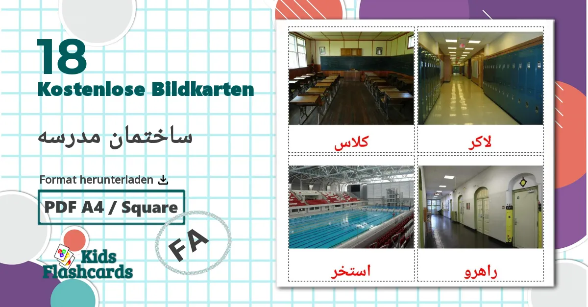 18 flashcards di Meerestiere