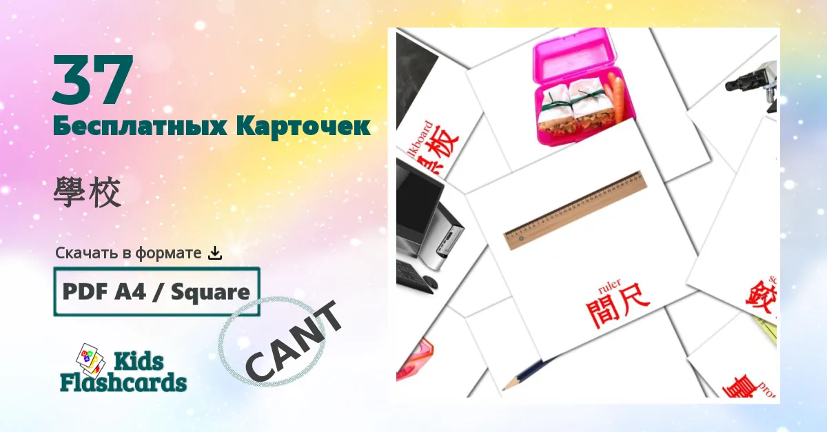 Карточки Домана Школа