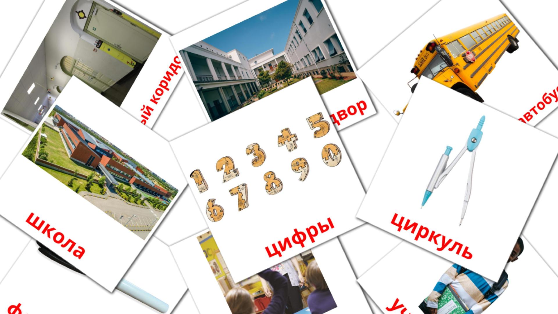 Карточки Домана Школа на нидерландcком языке