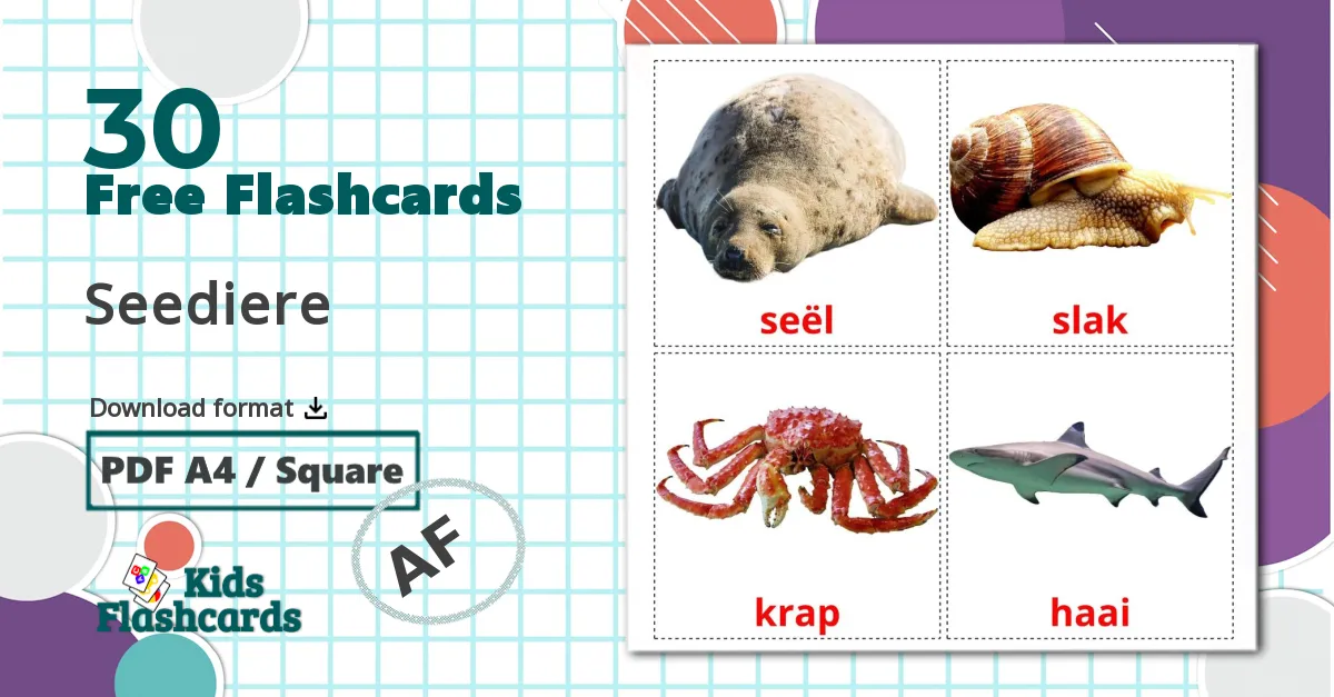 Sea animals - afrikaans vocabulary cards