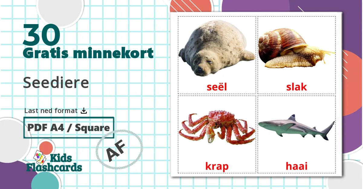 Sea animals - Ordforrådskort for afrikaans