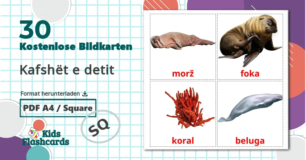 Meerestiere - Albanisch Vokabelkarten