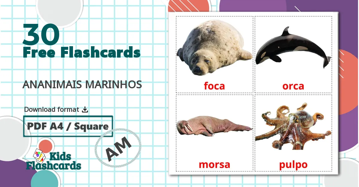 30 Sea animals flashcards