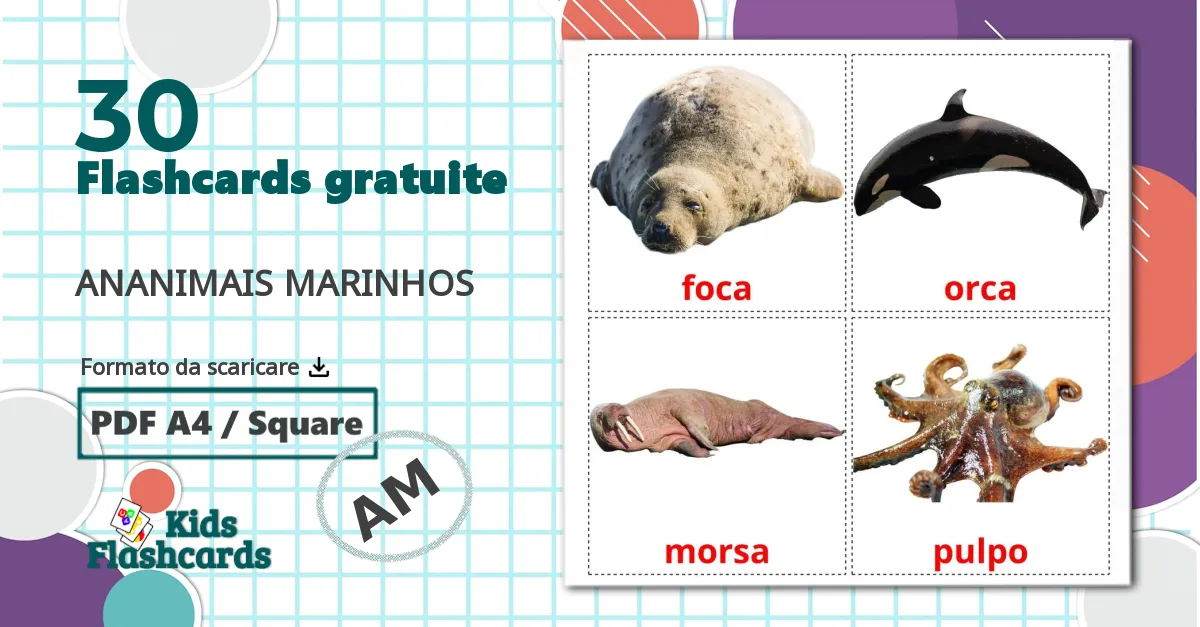 30 flashcards di Animali marini