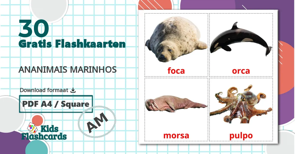 30 Zeedieren flashcards