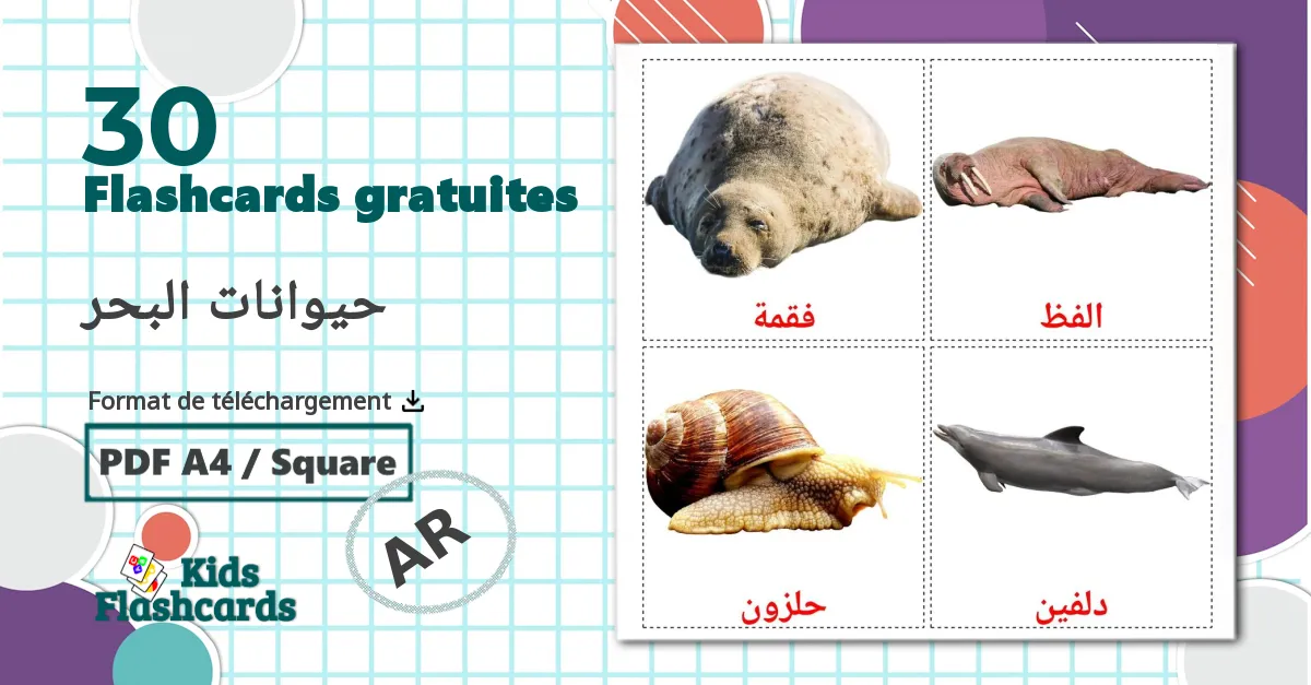 Les Animaux Marins - cartes de vocabulaire arabe