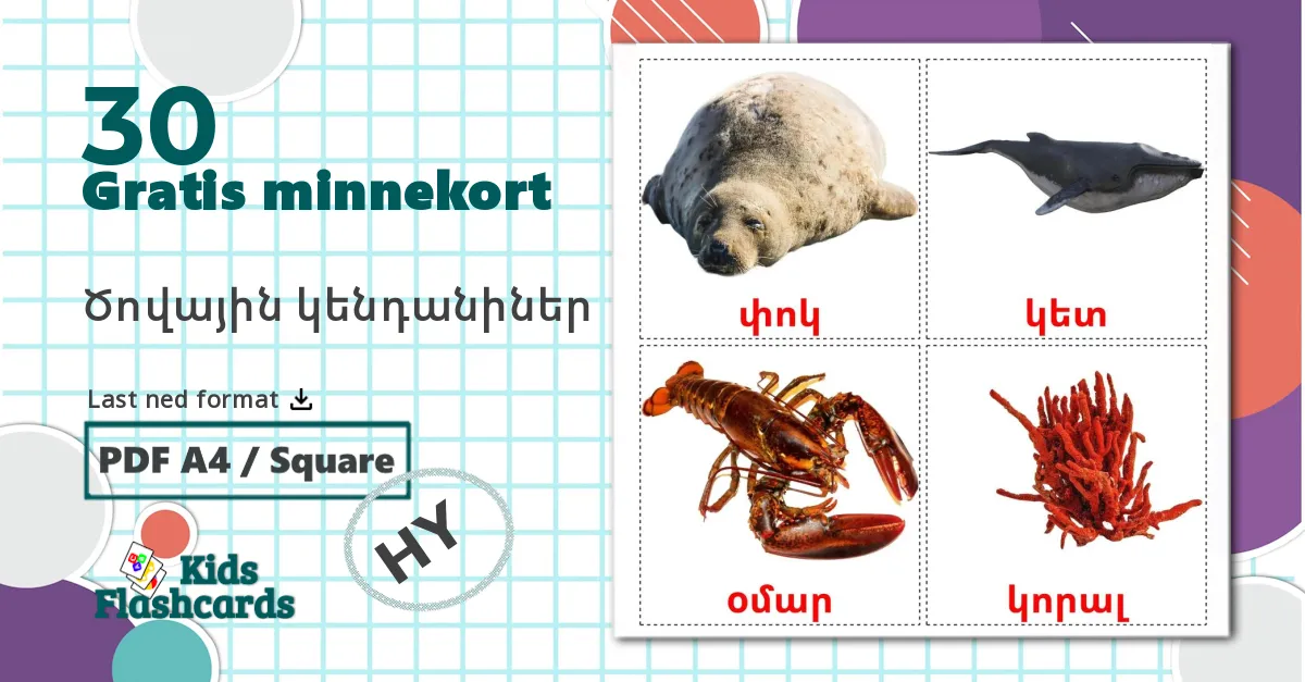 Sea animals - Ordforrådskort for armensk
