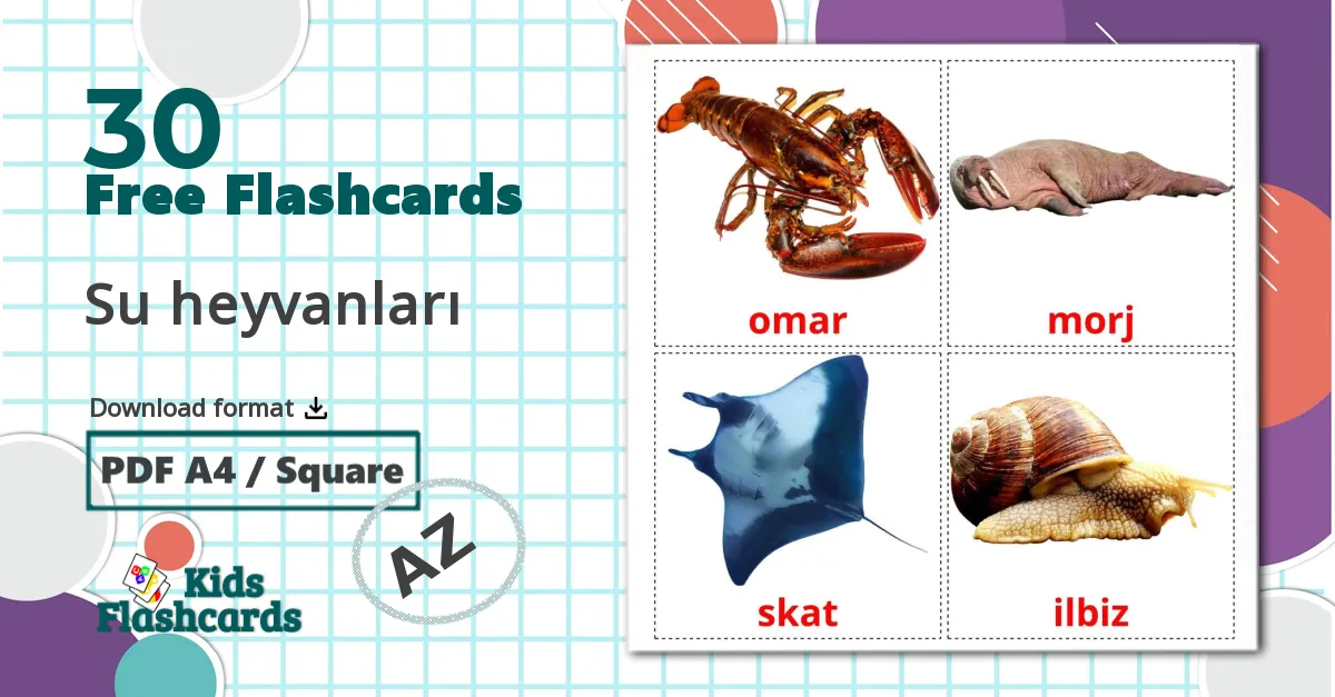 Sea animals - azerbaijani vocabulary cards