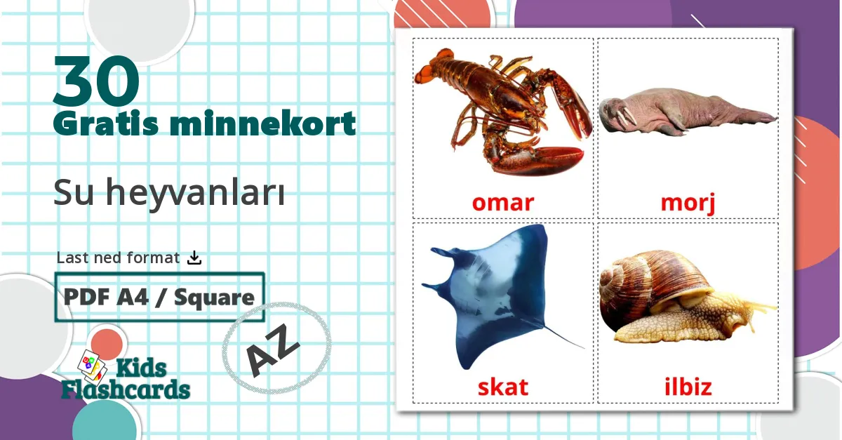 30 Su heyvanları bildekort