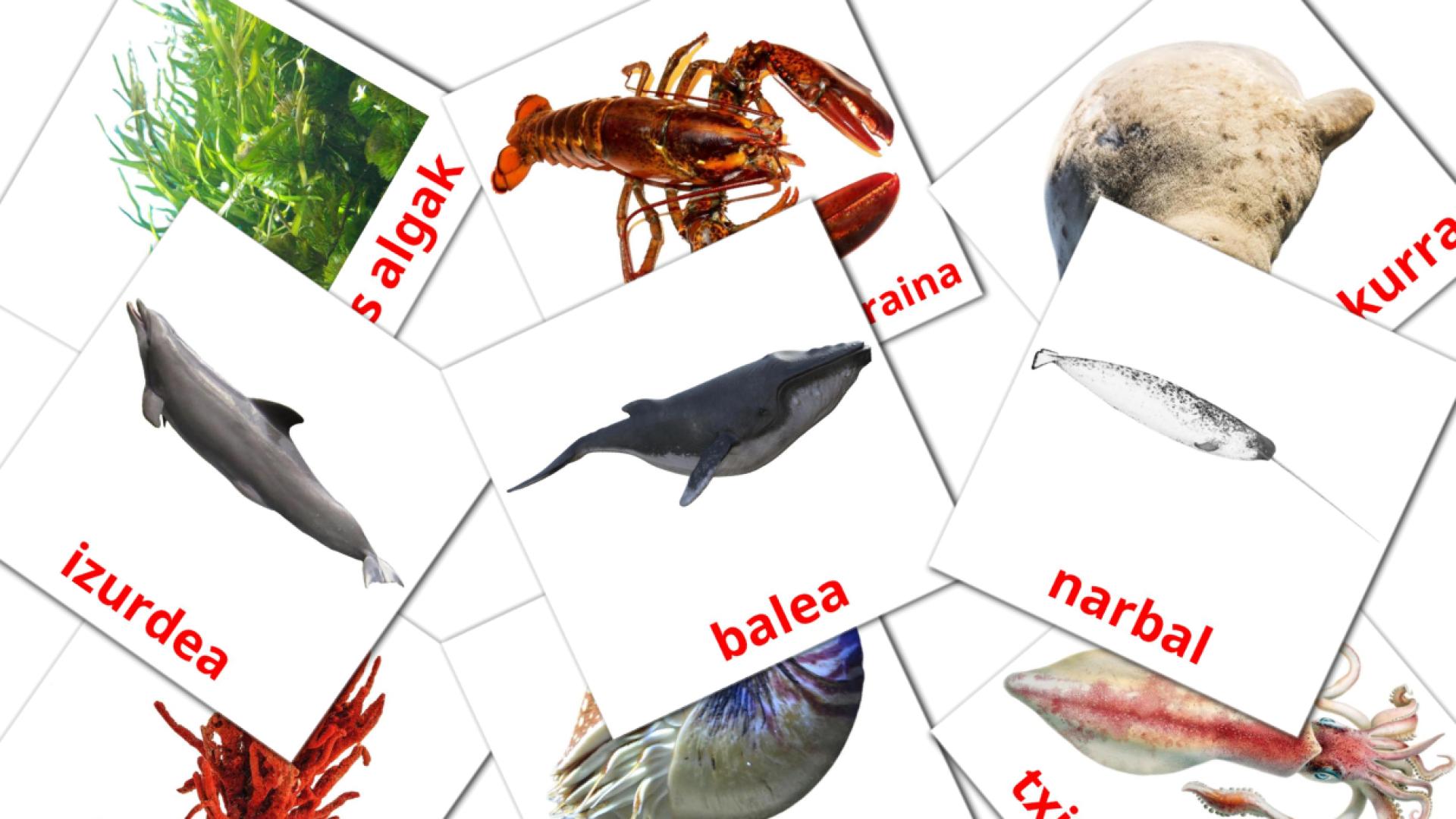 Sea animals - basque vocabulary cards