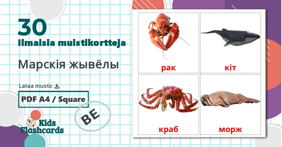 30 Марскія жывёлы lasten kuvakortit