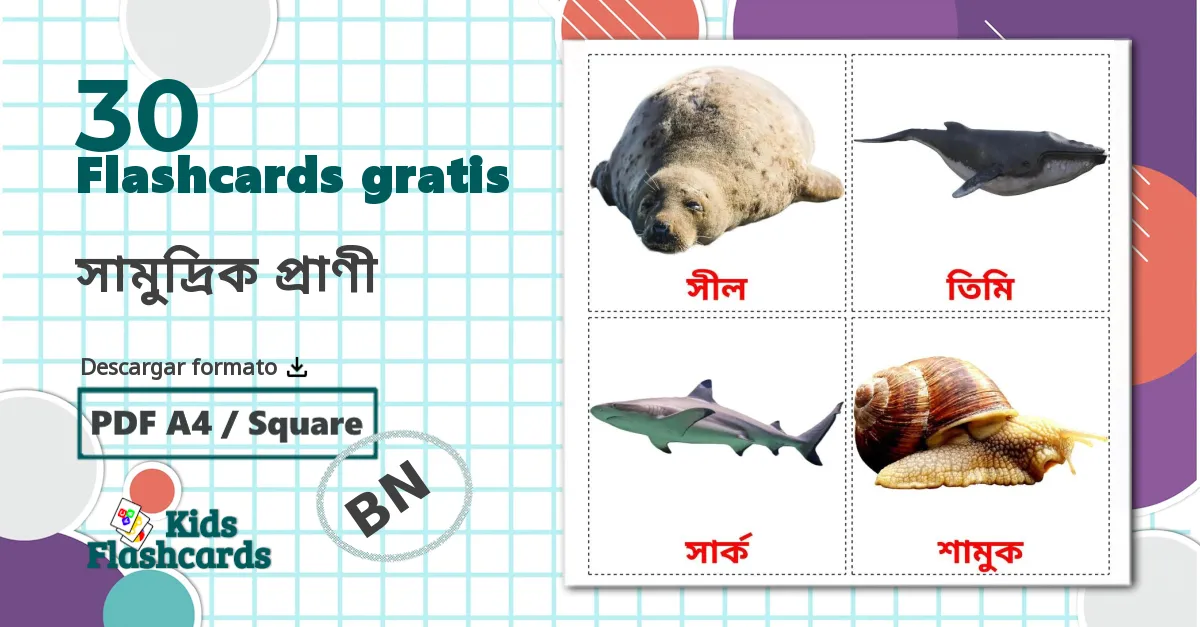 30 tarjetas didacticas de সামুদ্রিক প্রাণী