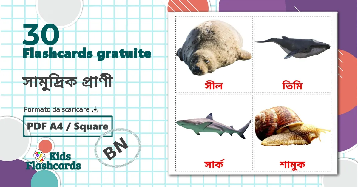 30 flashcards di সামুদ্রিক প্রাণী