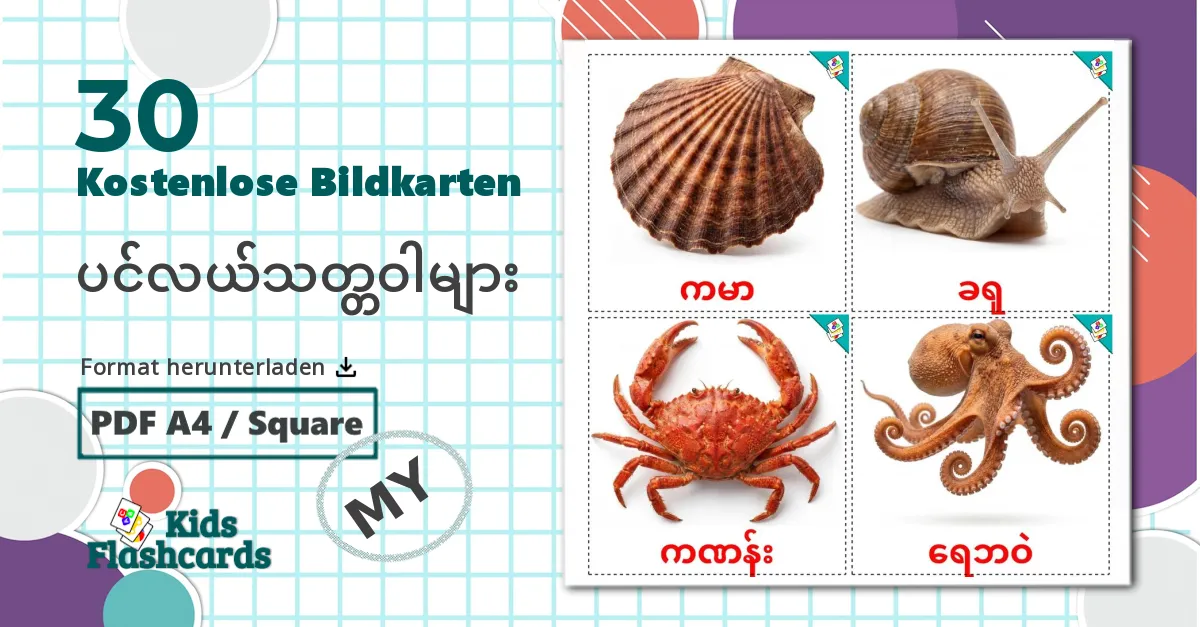 30 Bildkarten für Meerestiere
