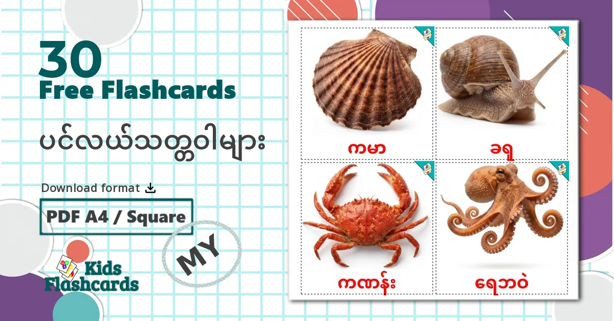 30 Sea animals flashcards