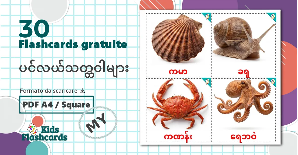 30 flashcards di ပင်လယ်သတ္တဝါများ