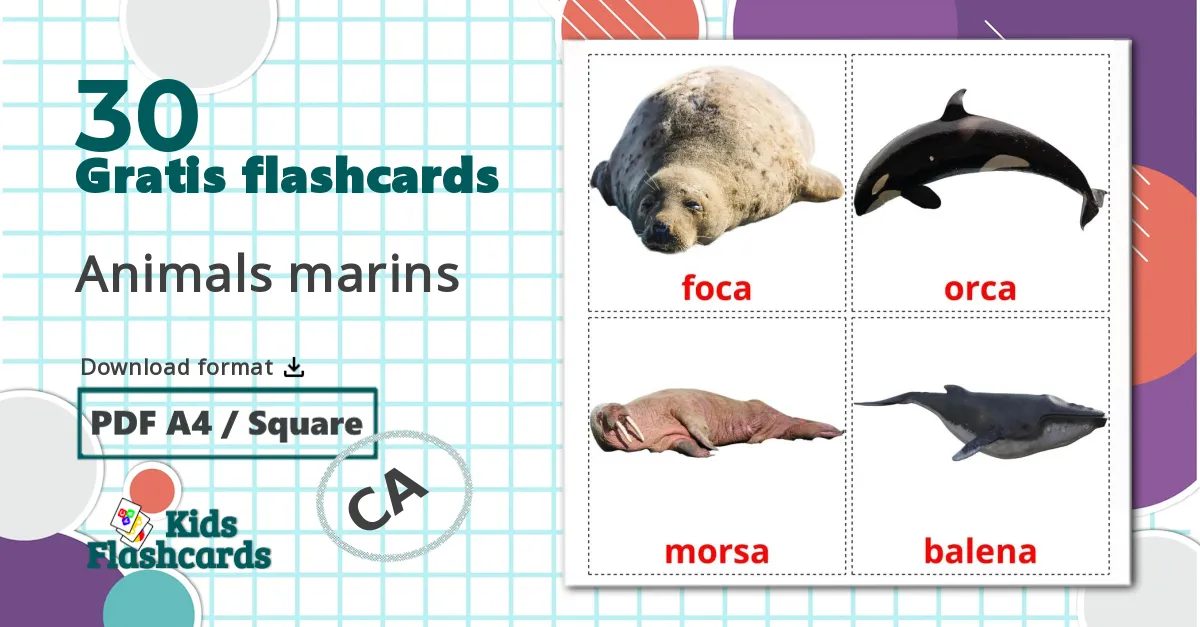30 Animals marins billedkort for børn