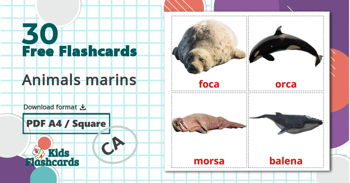 30 Animals marins flashcards