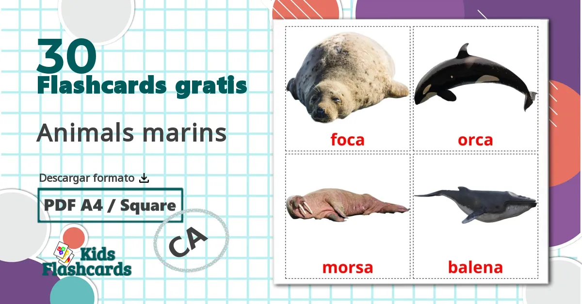 30 tarjetas didacticas de Animals marins