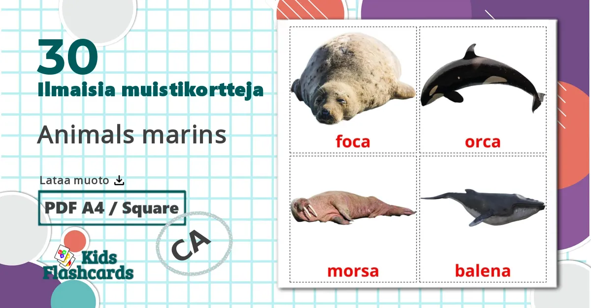 30 Animals marins lasten kuvakortit