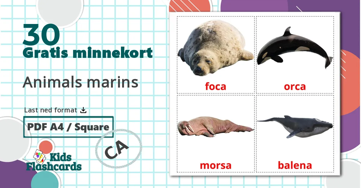 30 Animals marins bildekort