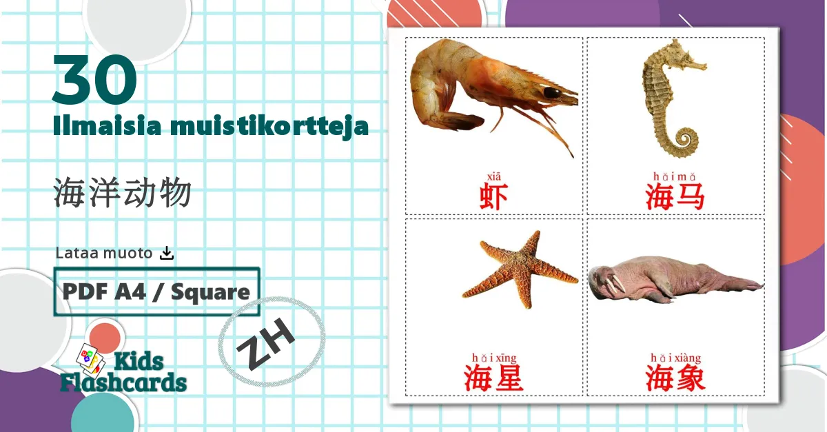 30 海洋动物 lasten kuvakortit