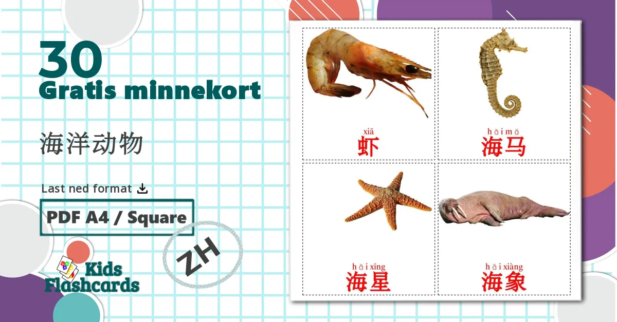 30 海洋动物 bildekort