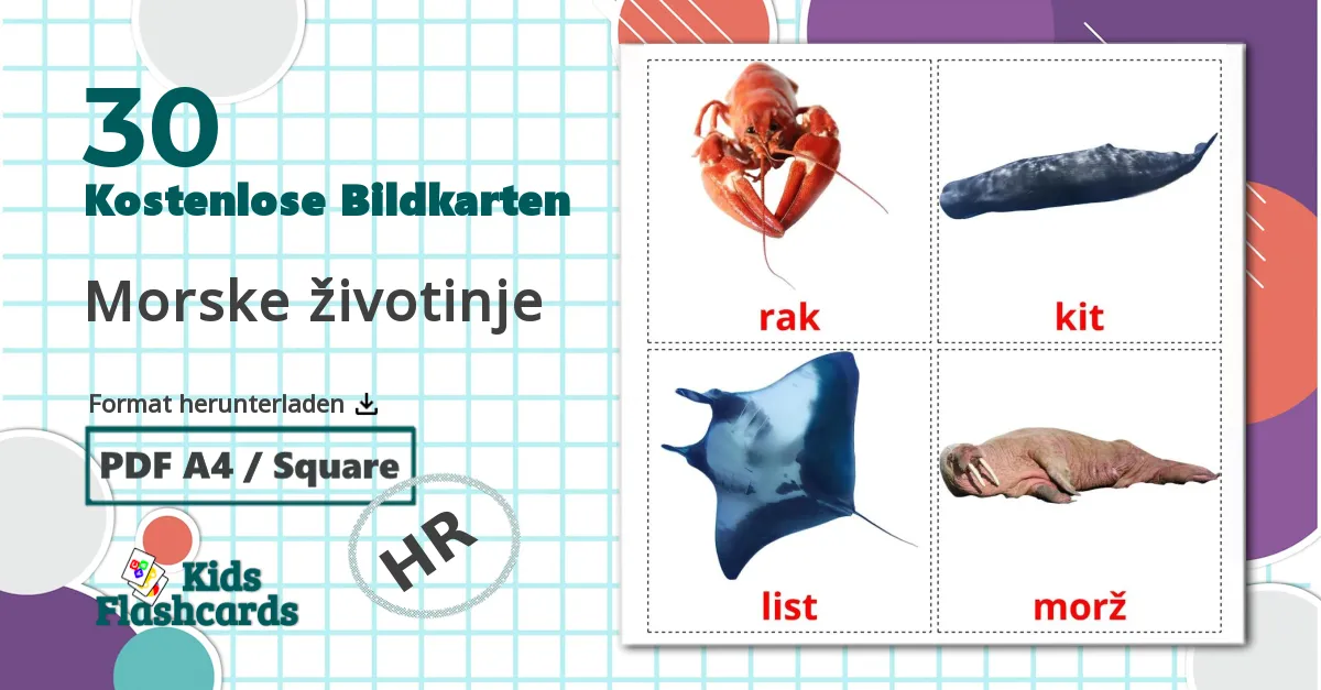 30 Bildkarten für Morske životinje