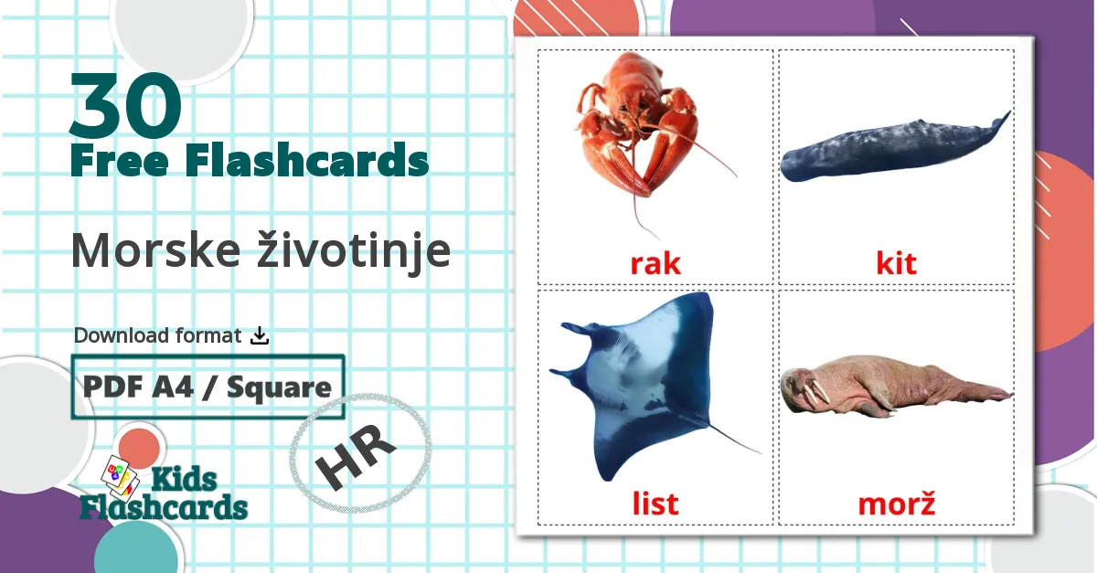 30 Morske životinje  flashcards