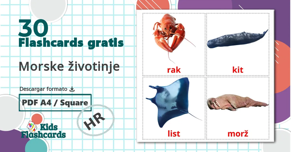 30 tarjetas didacticas de Morske životinje