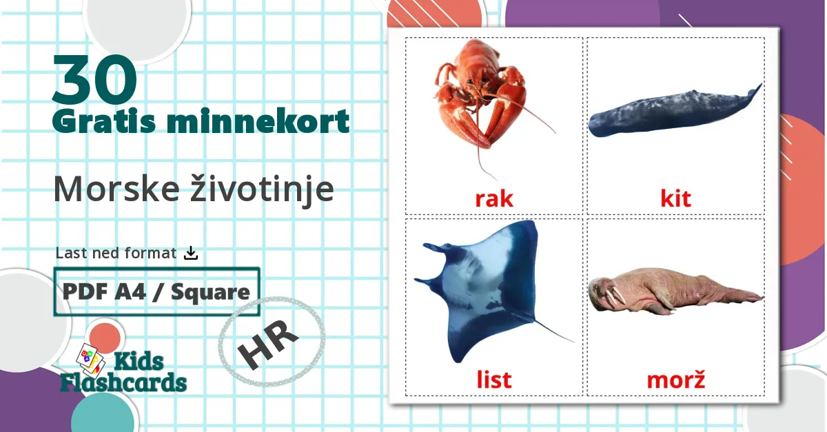 30 Morske životinje  bildekort