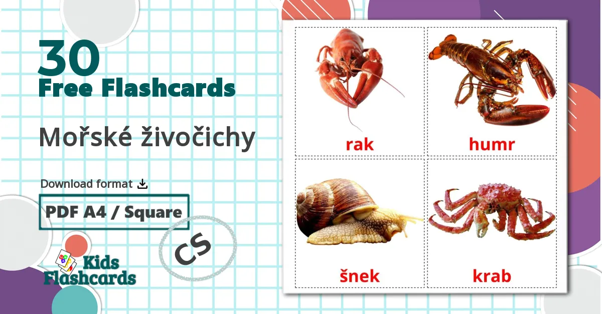 30 Mořské živočichy flashcards