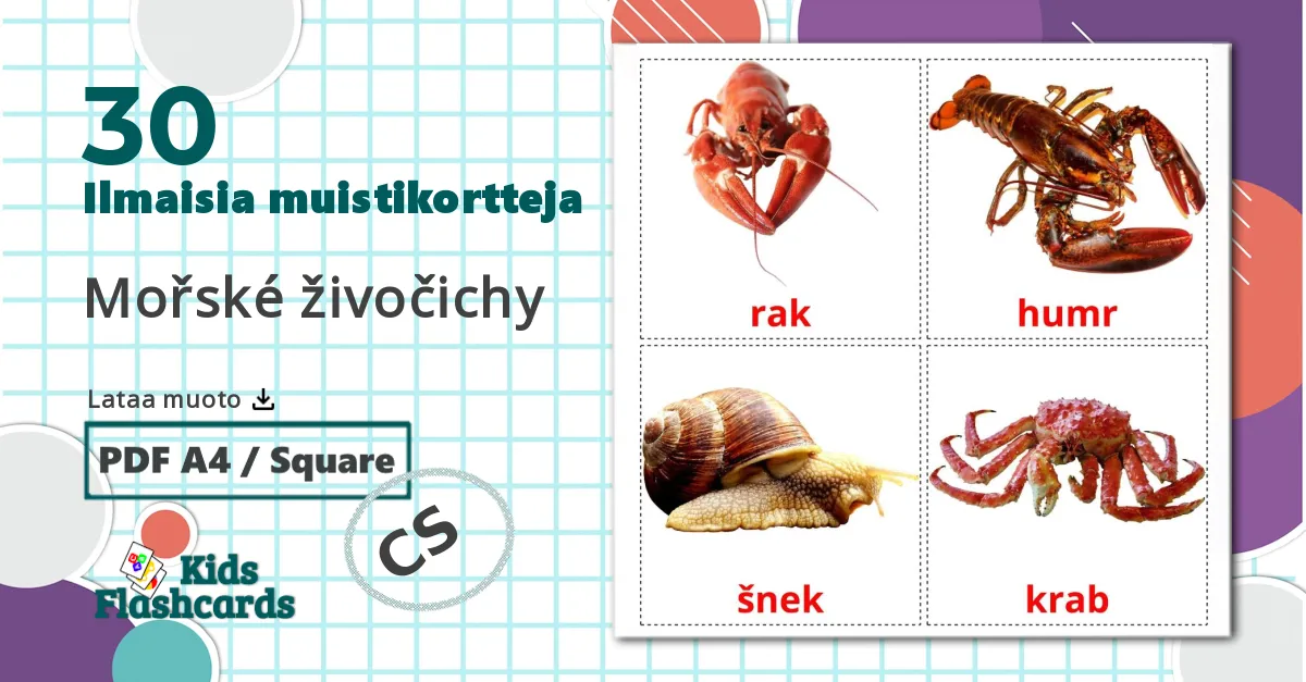30 Mořské živočichy lasten kuvakortit