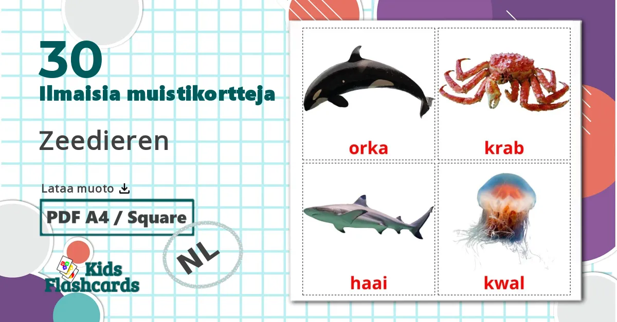 30 Zeedieren lasten kuvakortit