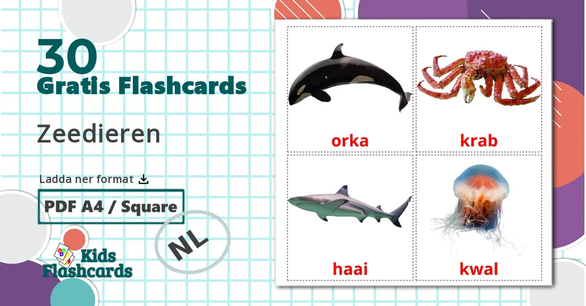 30 Zeedieren bildkort för barn