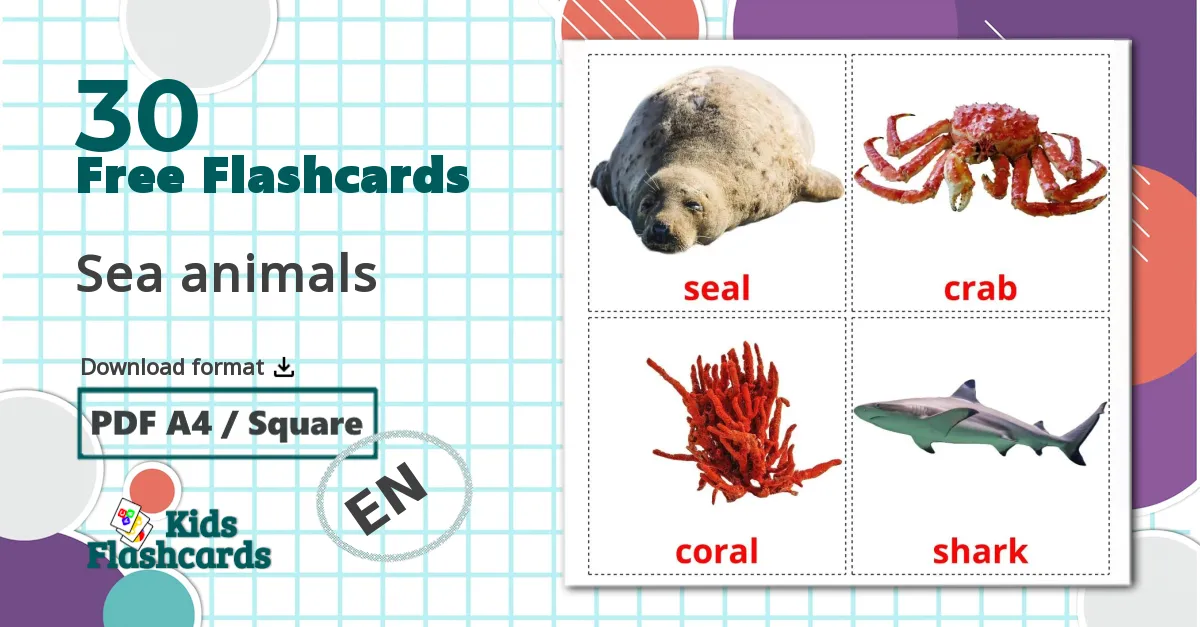 Sea animals flashcards