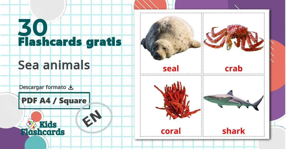 30 tarjetas didacticas de Sea animals