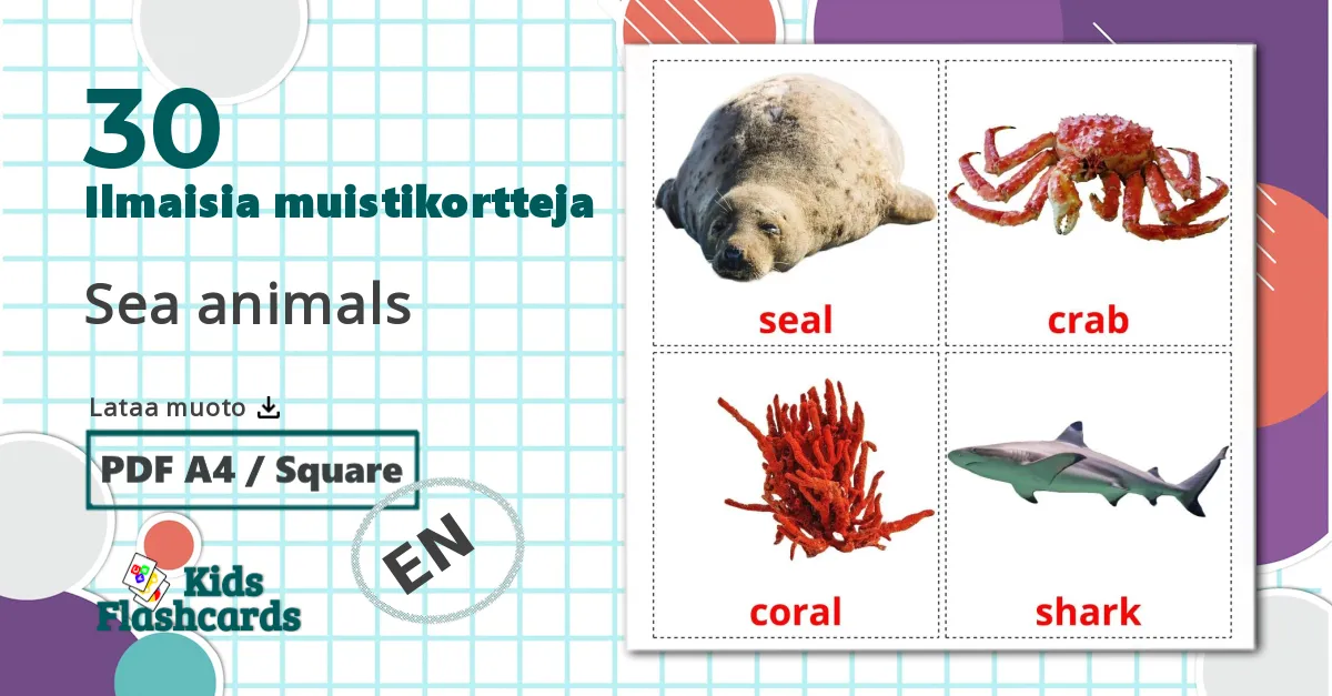 30 Sea animals lasten kuvakortit