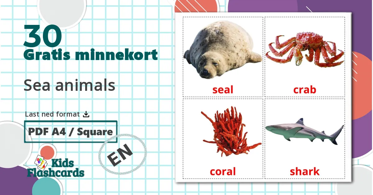 30 Sea animals bildekort