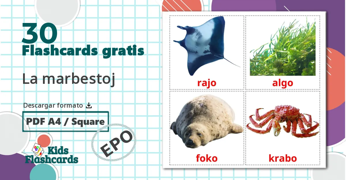 30 tarjetas didacticas de La marbestoj