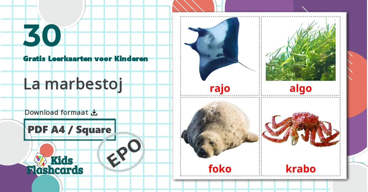 30 La marbestoj Leerkaarten voor kinderen