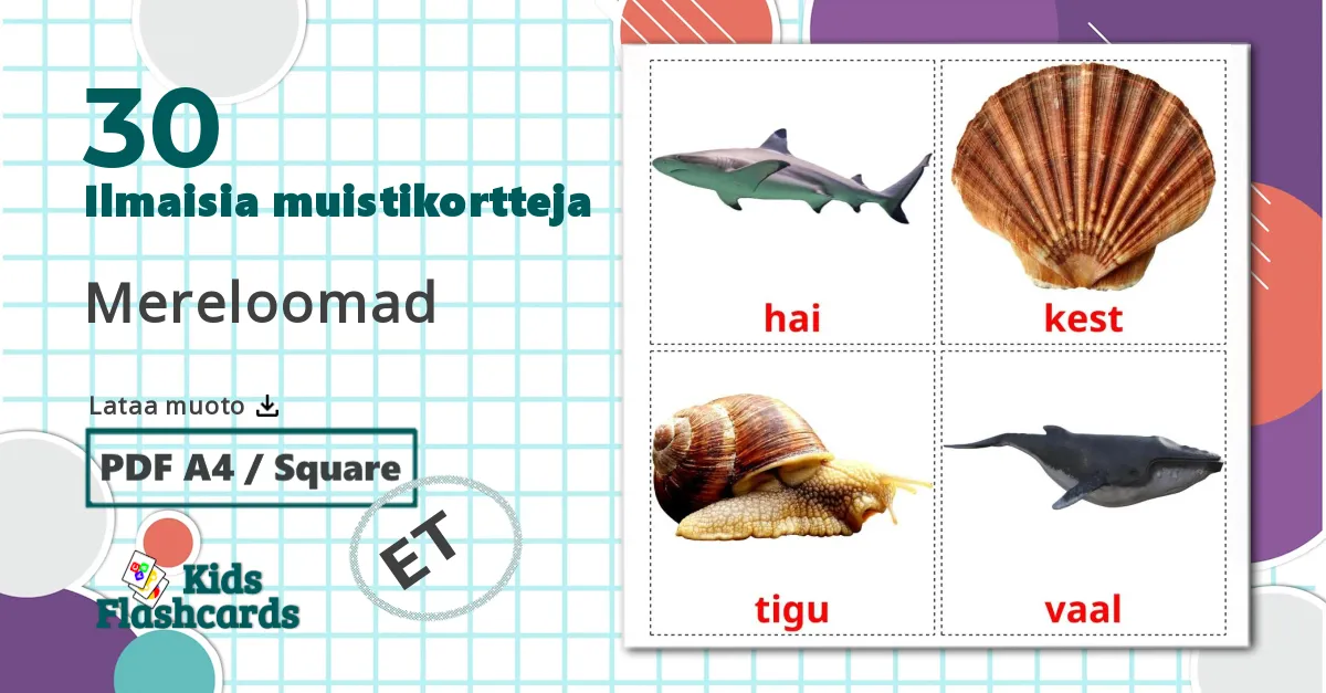 30 Mereloomad lasten kuvakortit