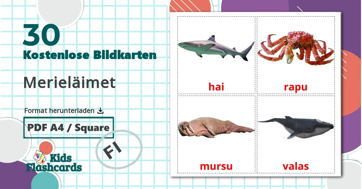 30 Bildkarten für Merieläimet