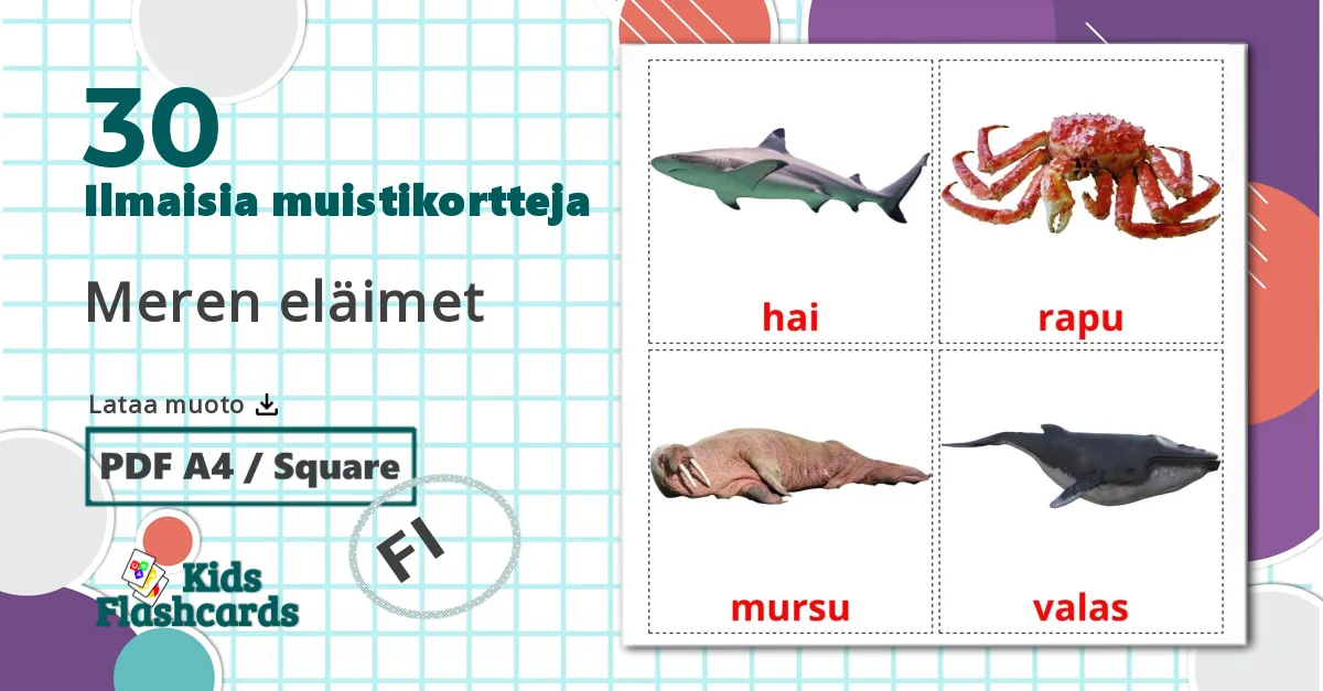 30 Meren eläimet lasten kuvakortit
