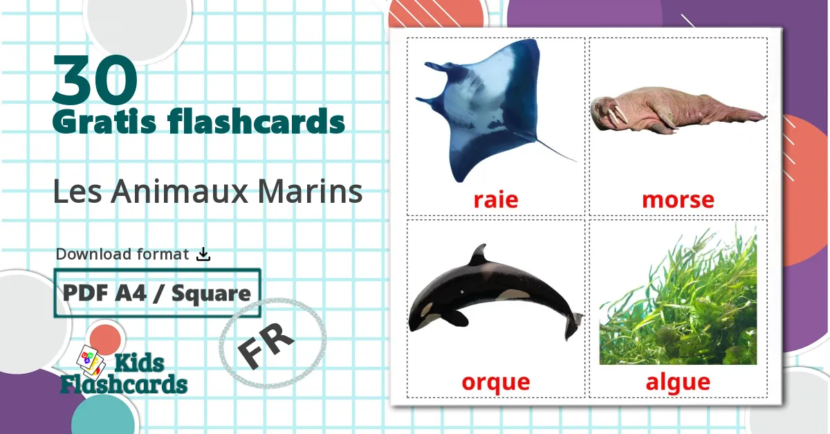 30 Les Animaux Marins billedkort for børn