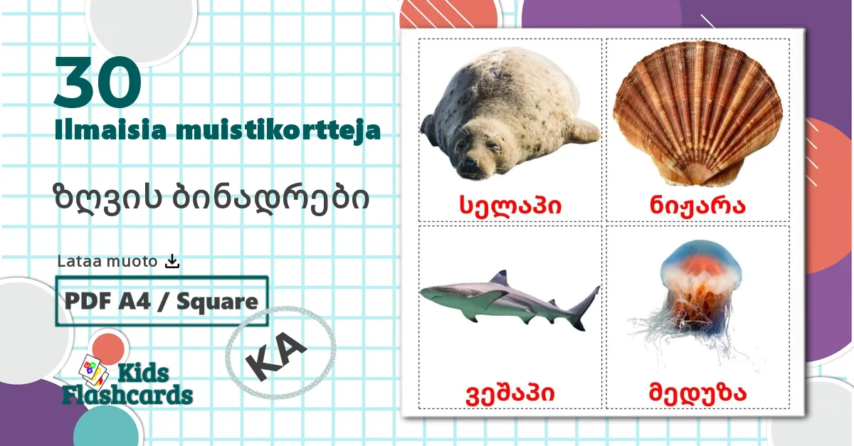 30 ზღვის ბინადრები lasten kuvakortit