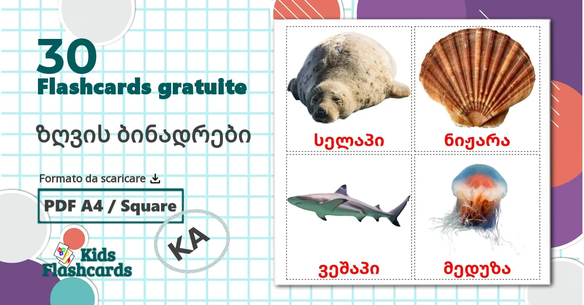 30 flashcards di Animali marini