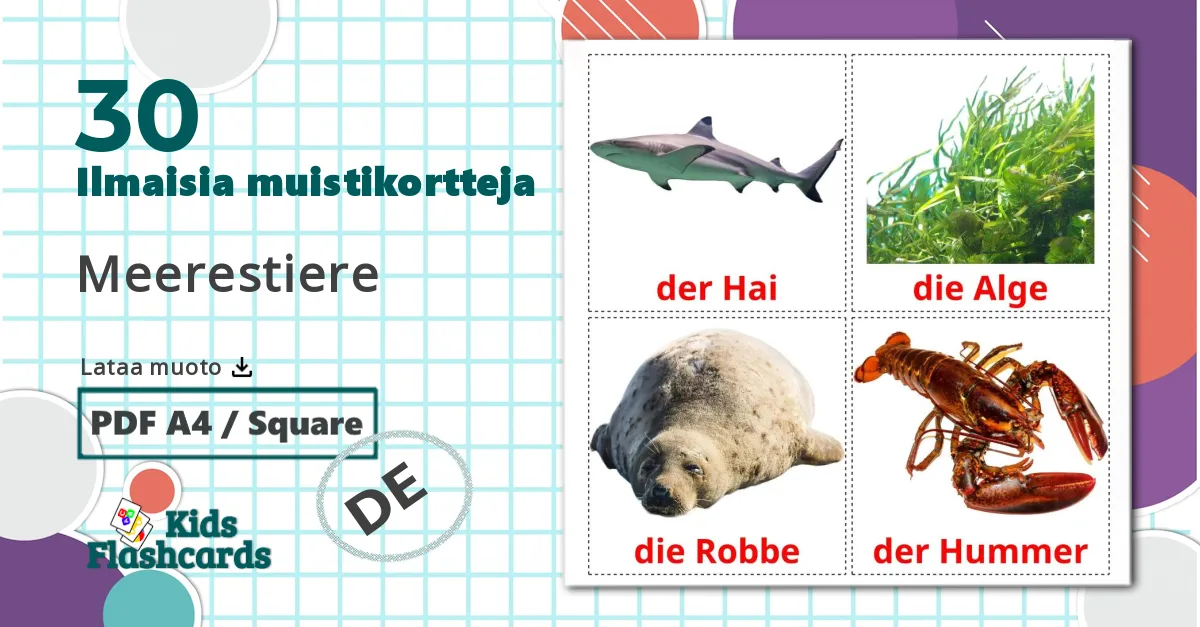 Animales Marinos - saksa sanastokortit