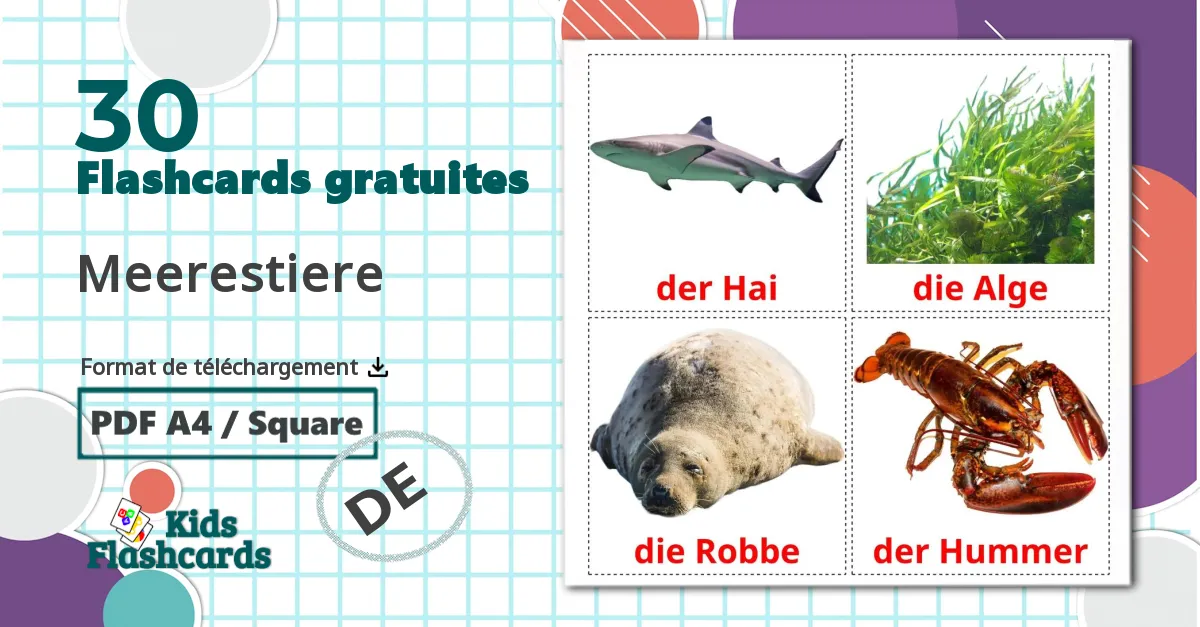 Les Animaux Marins - cartes de vocabulaire allemand